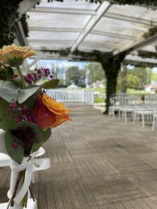 IMG_0901