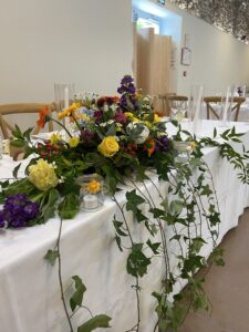 IMG_3526
